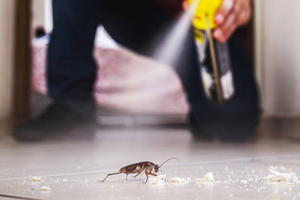 Best Pest Inspection Near Me  in Oakland, OK